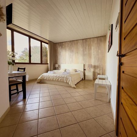 B&B Il Leccio Αλμπερομπέλο Εξωτερικό φωτογραφία