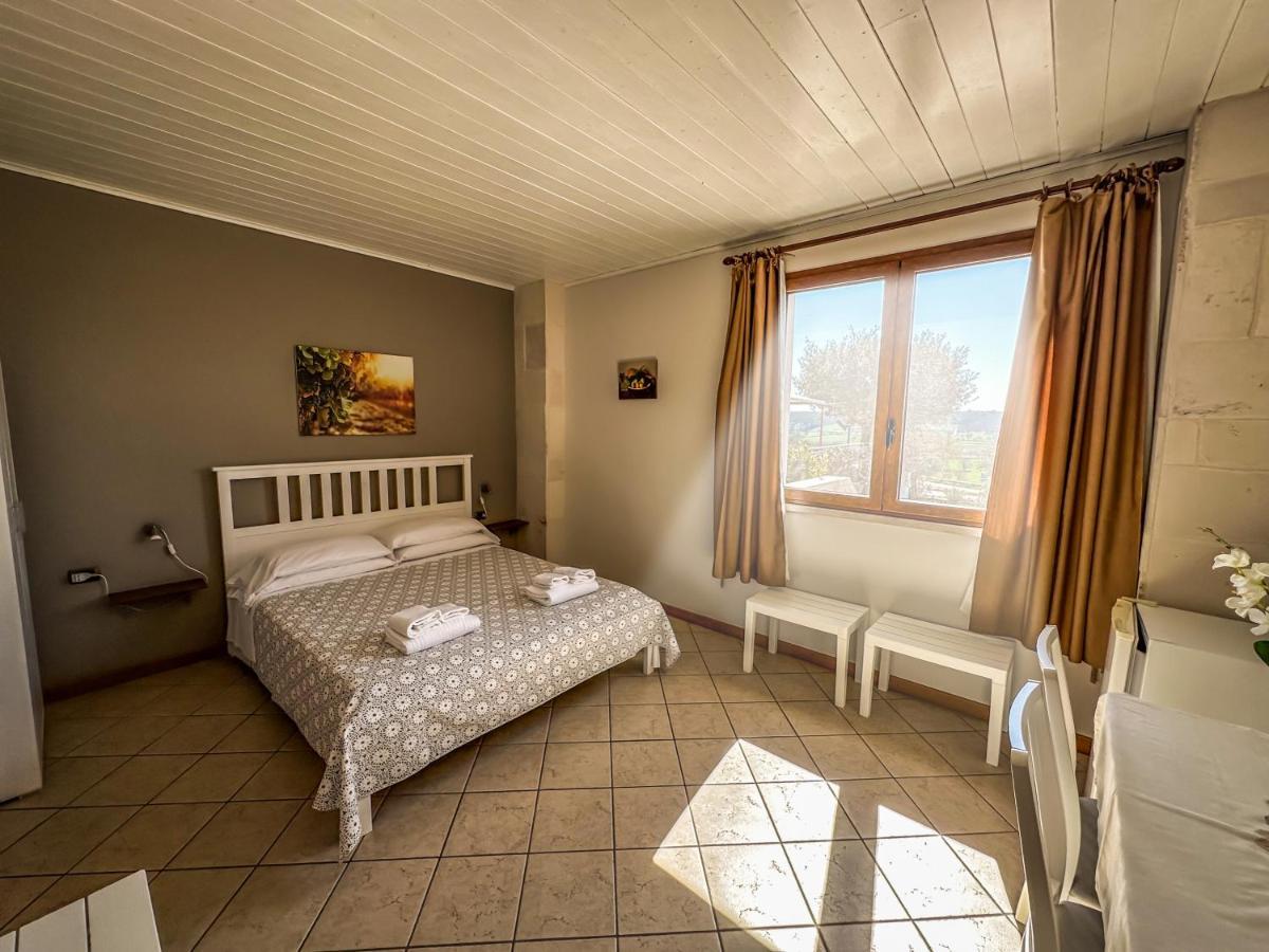 B&B Il Leccio Αλμπερομπέλο Εξωτερικό φωτογραφία